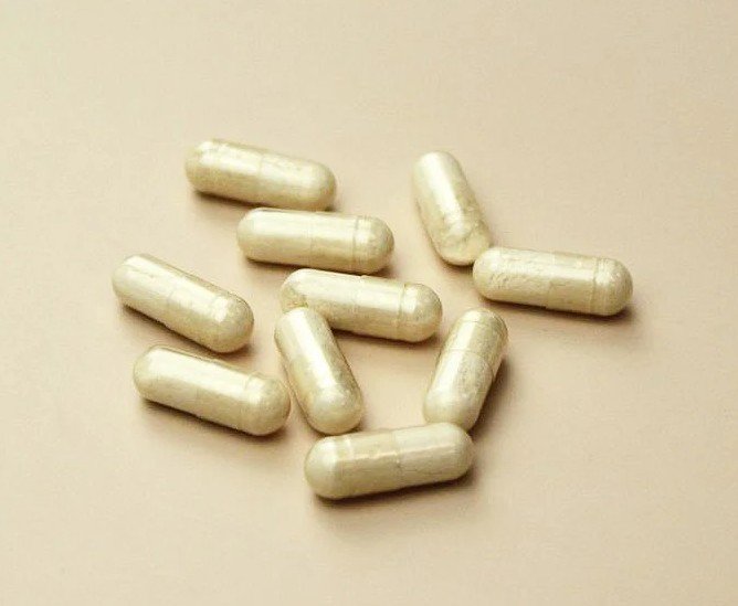 Probiotiques